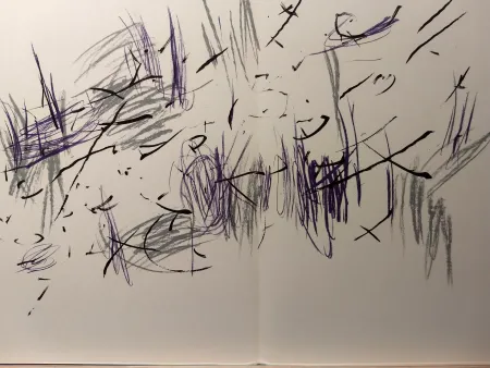 插图书 Bazaine - DLM 197