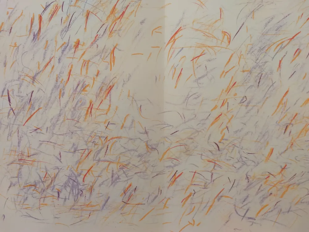 插图书 Bazaine - Edition Tete DLM 170