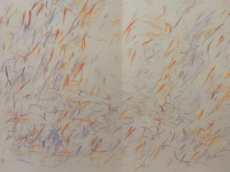 插图书 Bazaine - Edition Tete DLM 170