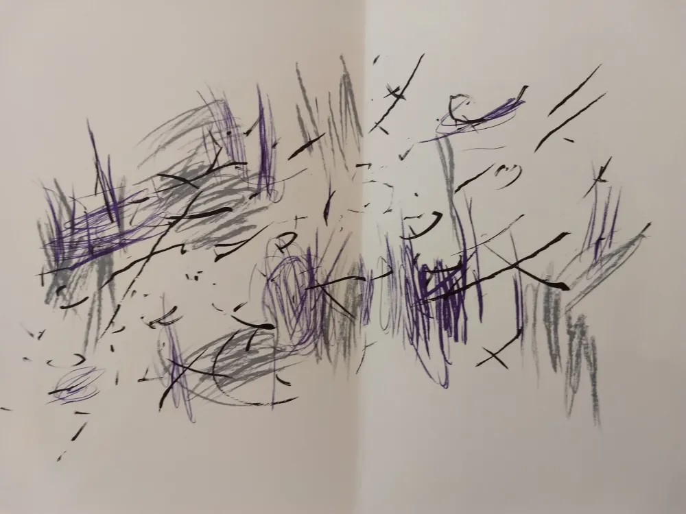 插图书 Bazaine - Edition Tete DLM 197