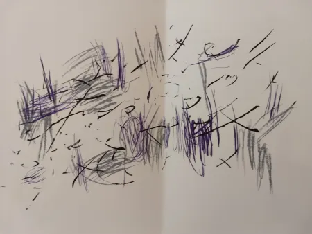 插图书 Bazaine - Edition Tete DLM 197