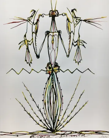 丝网印刷 Bedia - Dama Mantis