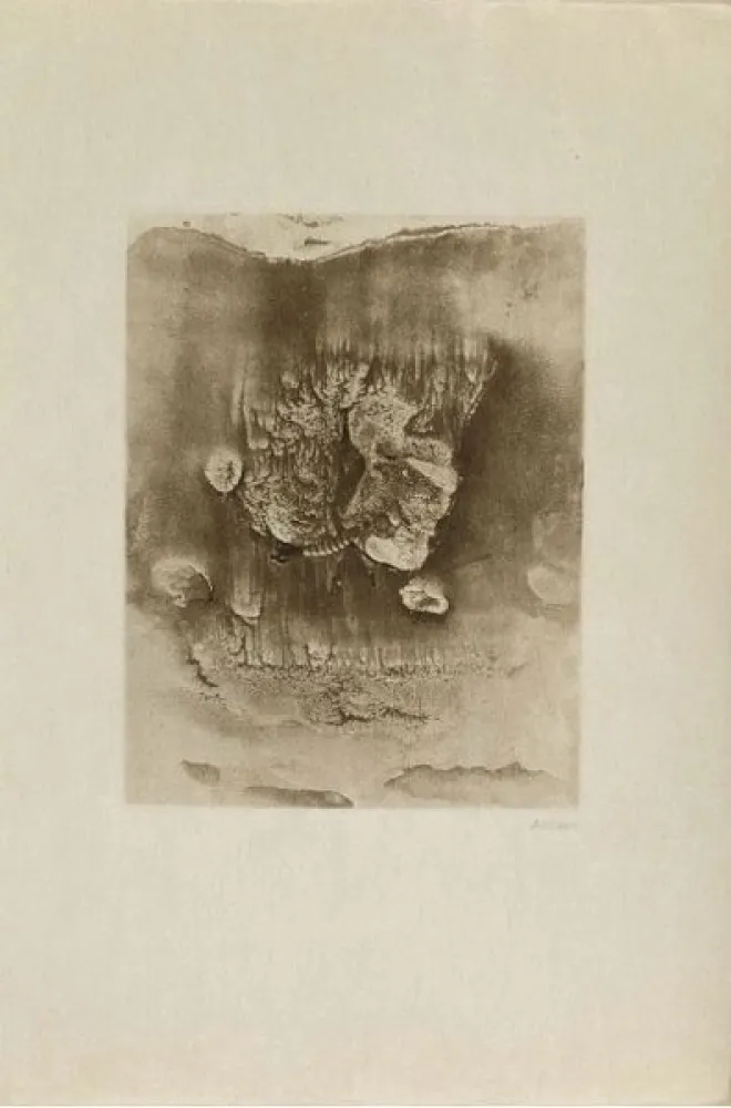 版画 Bellmer -  Entre deux eaux