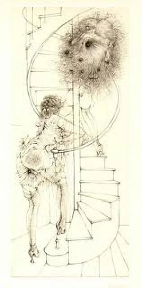 插图书 Bellmer - Madame edwarda