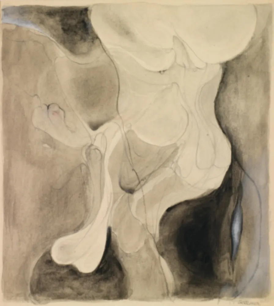 无技术 Bellmer - Sans titre