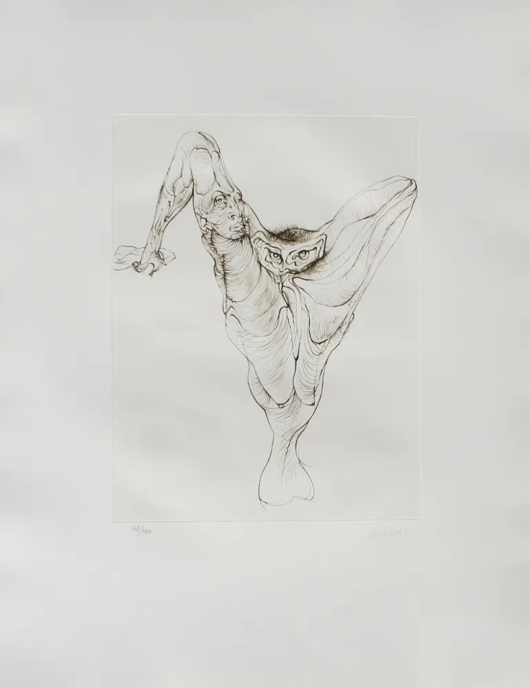 飞尘腐蚀法 Bellmer - Sexe oiseau