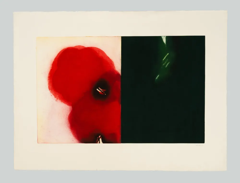 蚀刻飞尘法 Benati - Affiora