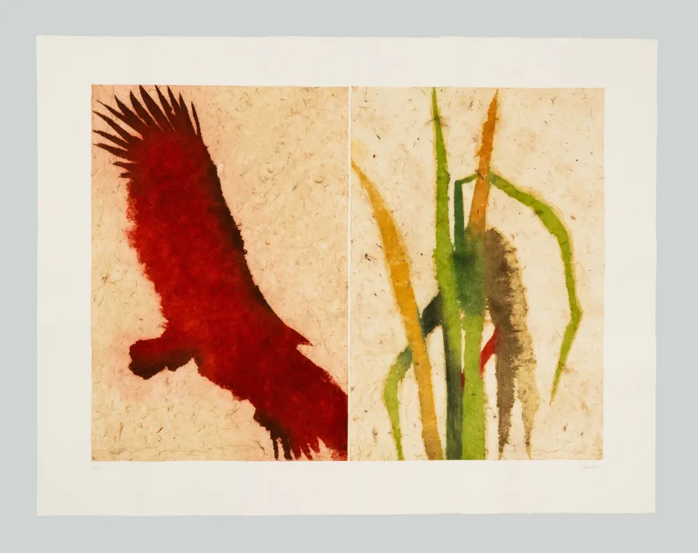 蚀刻飞尘法 Benati - Baia California