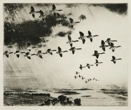 蚀刻版画 Benson - The Long Journey