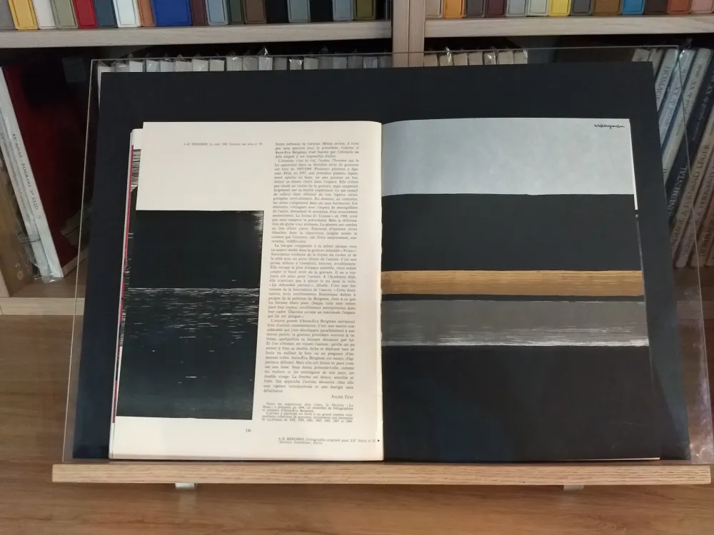 插图书 Bergman - No 35