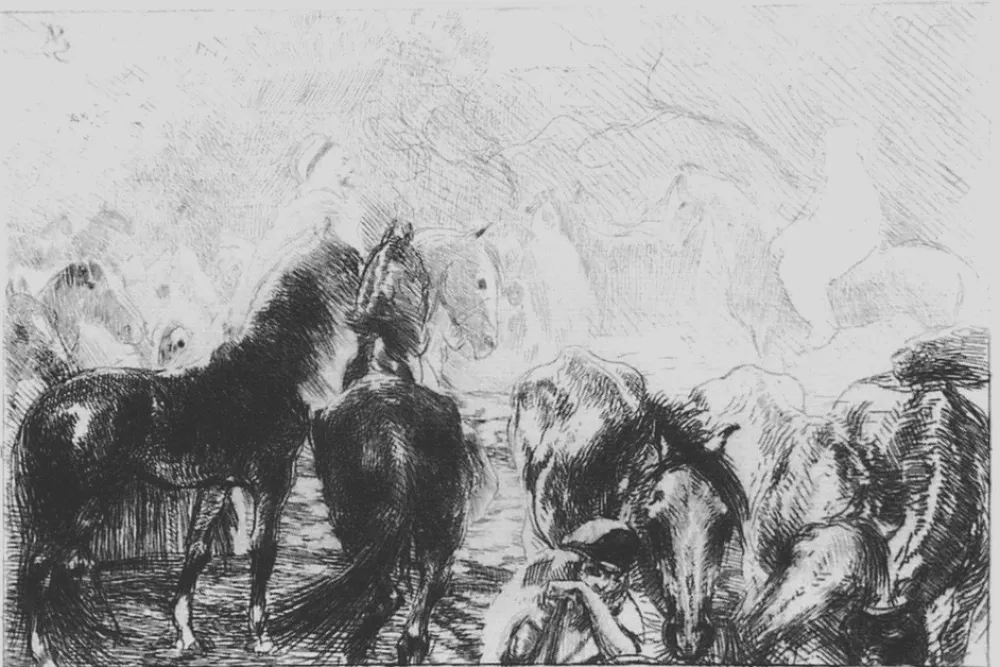 蚀刻版画 Besnard - Marché aux chevaux a Mainson Carré - Algérie