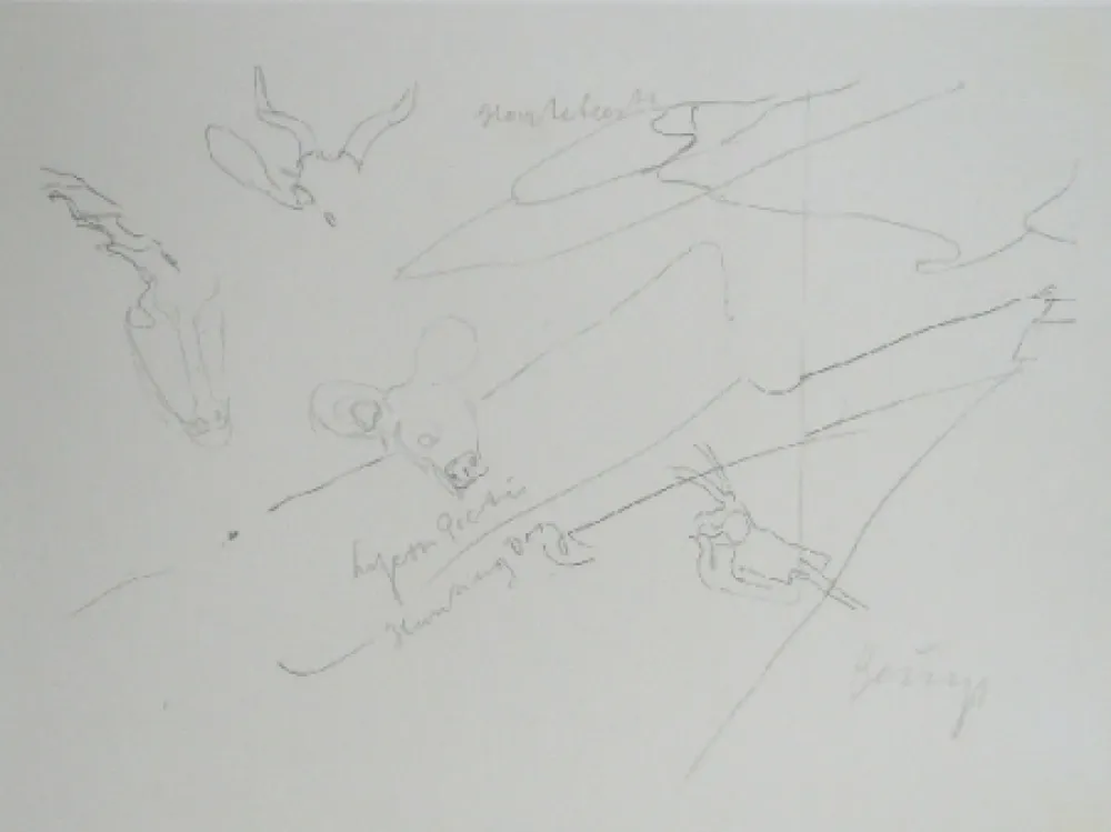 石版画 Beuys - Codices Madrid 9