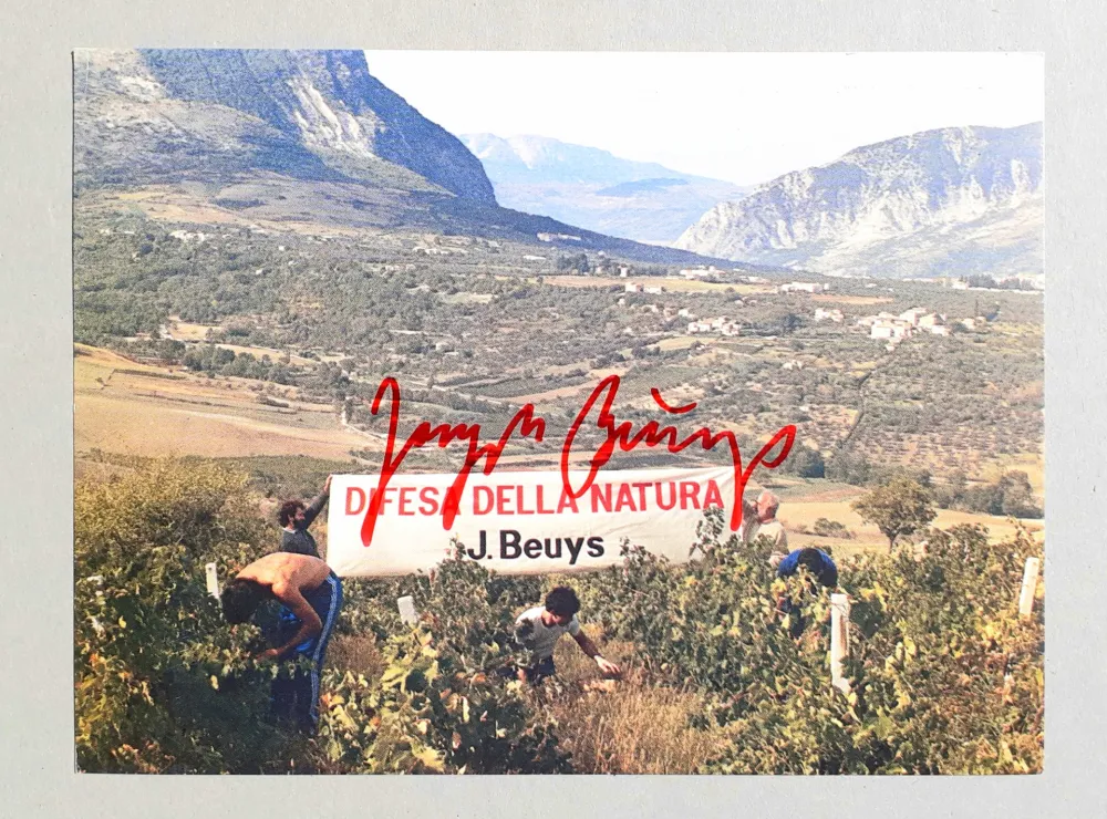 胶版印刷 Beuys - Difesa della natura