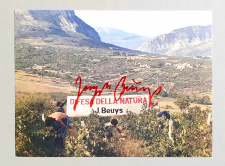 胶版印刷 Beuys - Difesa della natura