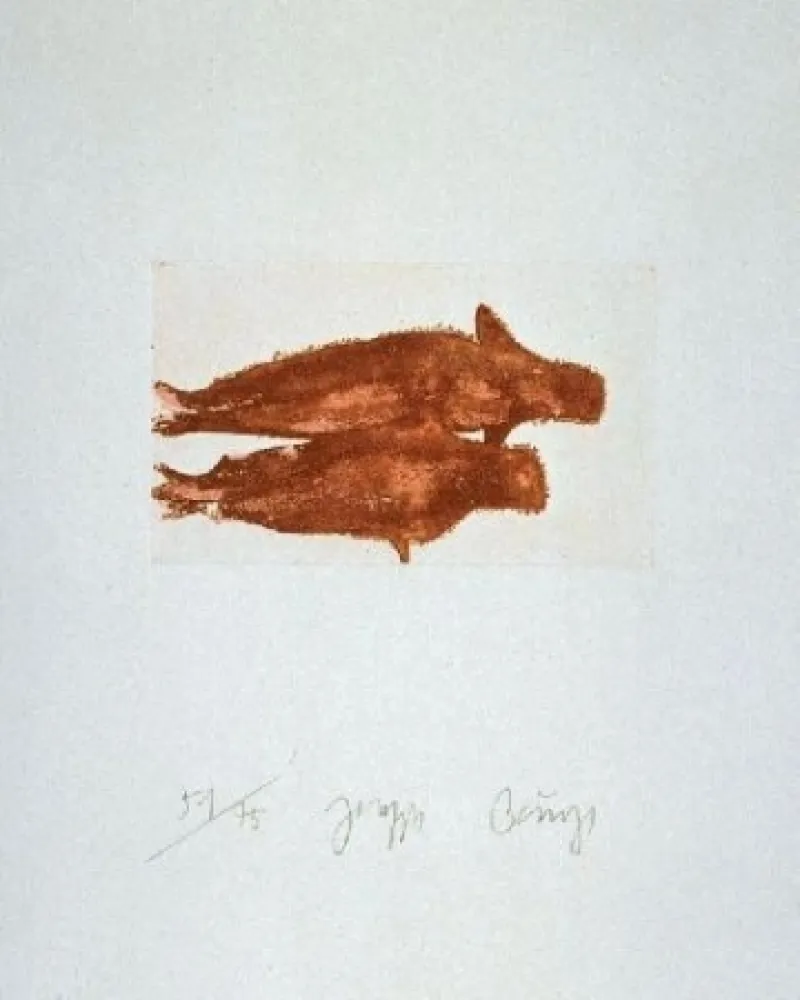 蚀刻飞尘法 Beuys - Meerengel Zwei Robben