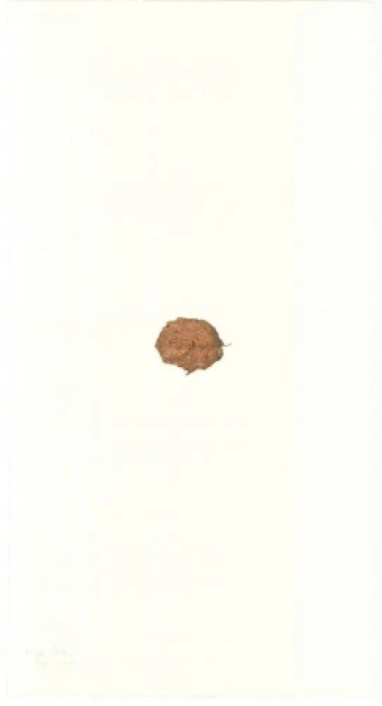 石版画 Beuys - Zirkulationszeit: Bär  Museumsausgabe