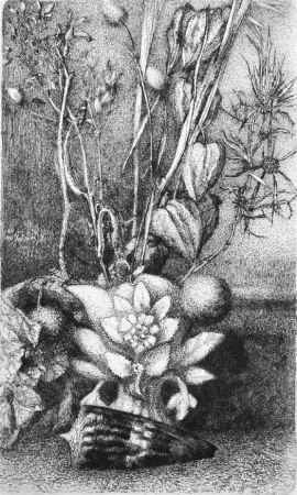 蚀刻版画 Bianchi Barriviera - Natura morta