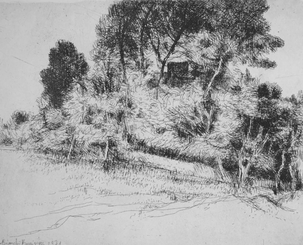 蚀刻版画 Bianchi Barriviera - Paesaggio alla via Nomentana