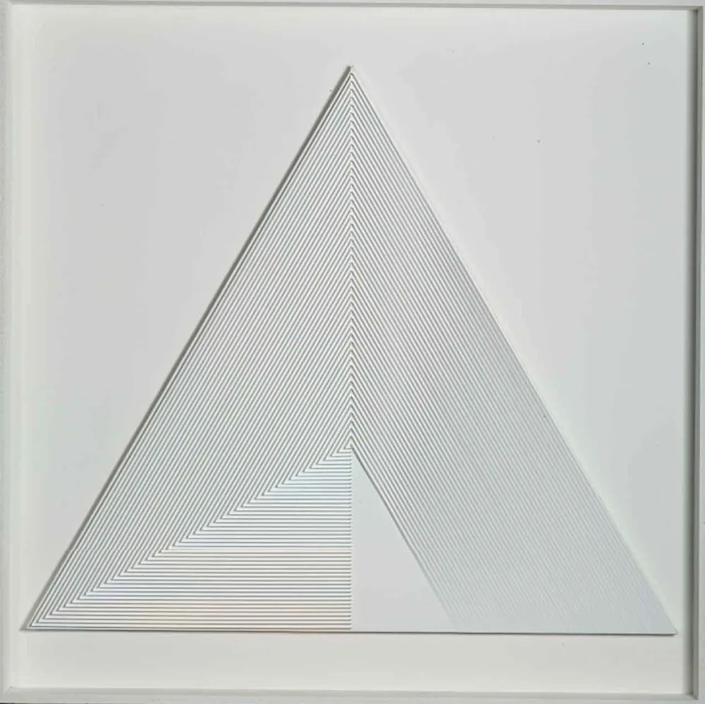 无技术 Biasi - POLITIPO TRIANGOLARE