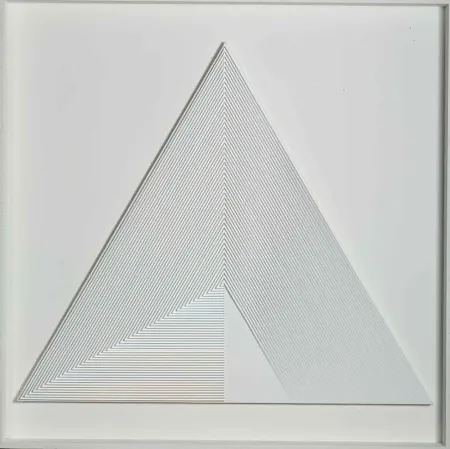 无技术 Biasi - POLITIPO TRIANGOLARE