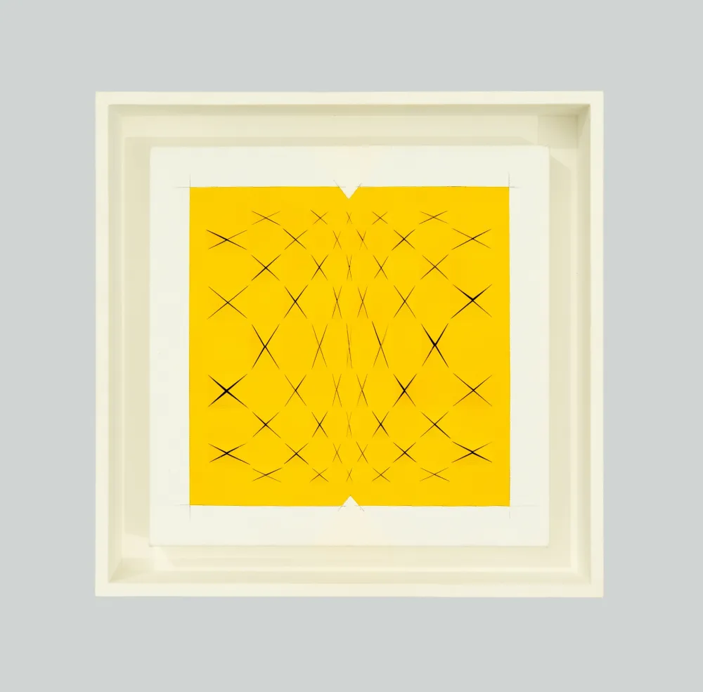 无技术 Biasi - Spazio papale