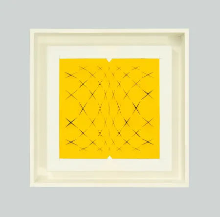 无技术 Biasi - Spazio papale