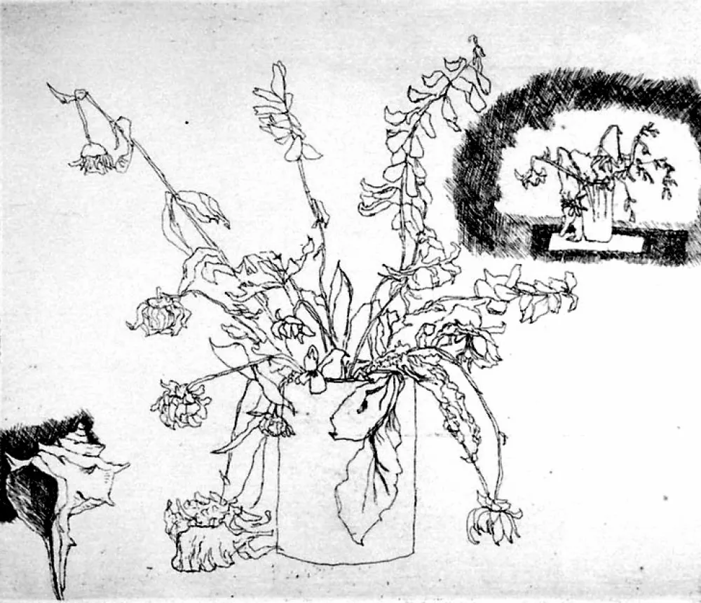 蚀刻版画 Biasion - Fiori secchi e conchiglia