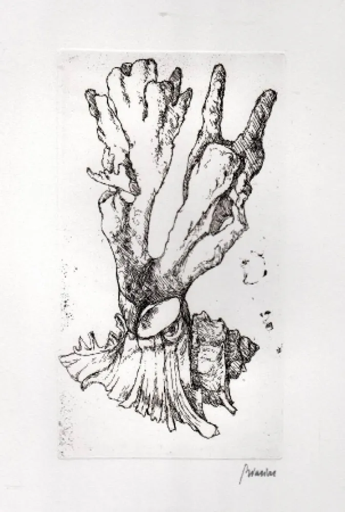 插图书 Biasion - Venezia lontana