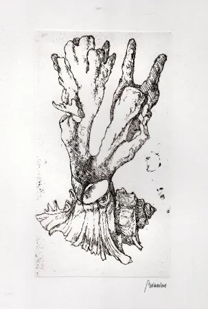 插图书 Biasion - Venezia lontana