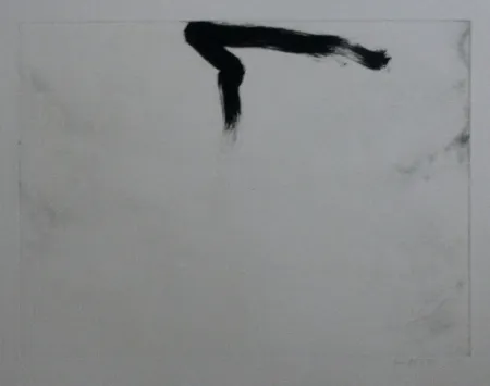 蚀刻飞尘法 Bird - Abstract 11