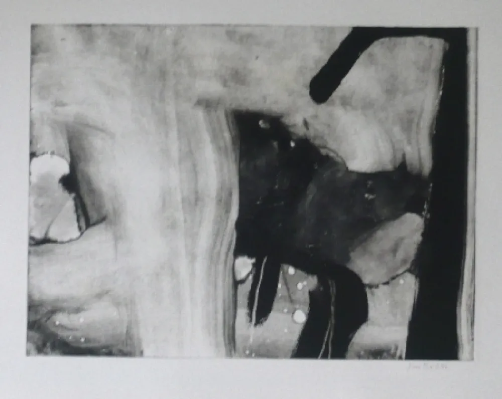 蚀刻飞尘法 Bird - Abstract 4