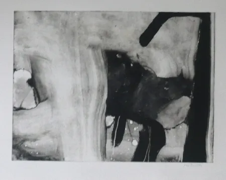 蚀刻飞尘法 Bird - Abstract 4