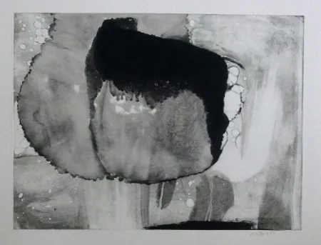 蚀刻飞尘法 Bird - Abstract 9