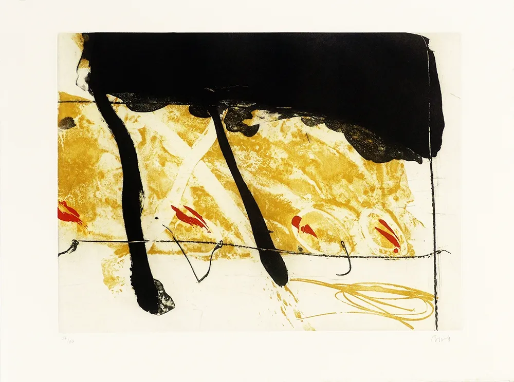 蚀刻飞尘法 Bird - Coach of black  water