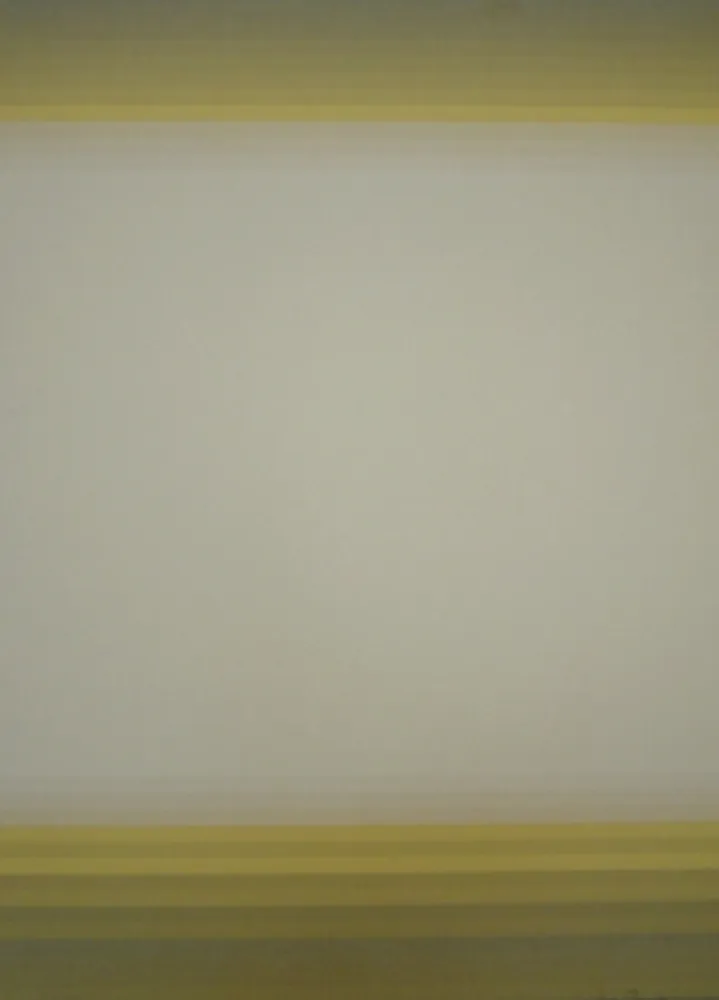 石版画 Bird - J.B.I. - 10