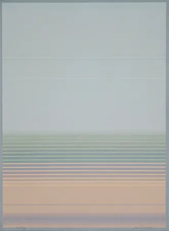 石版画 Bird - J.B.I. - 8