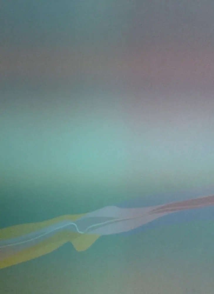 石版画 Bird - Spectre lumière 4