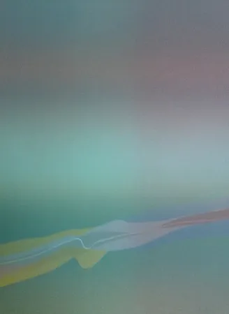 石版画 Bird - Spectre lumière 4