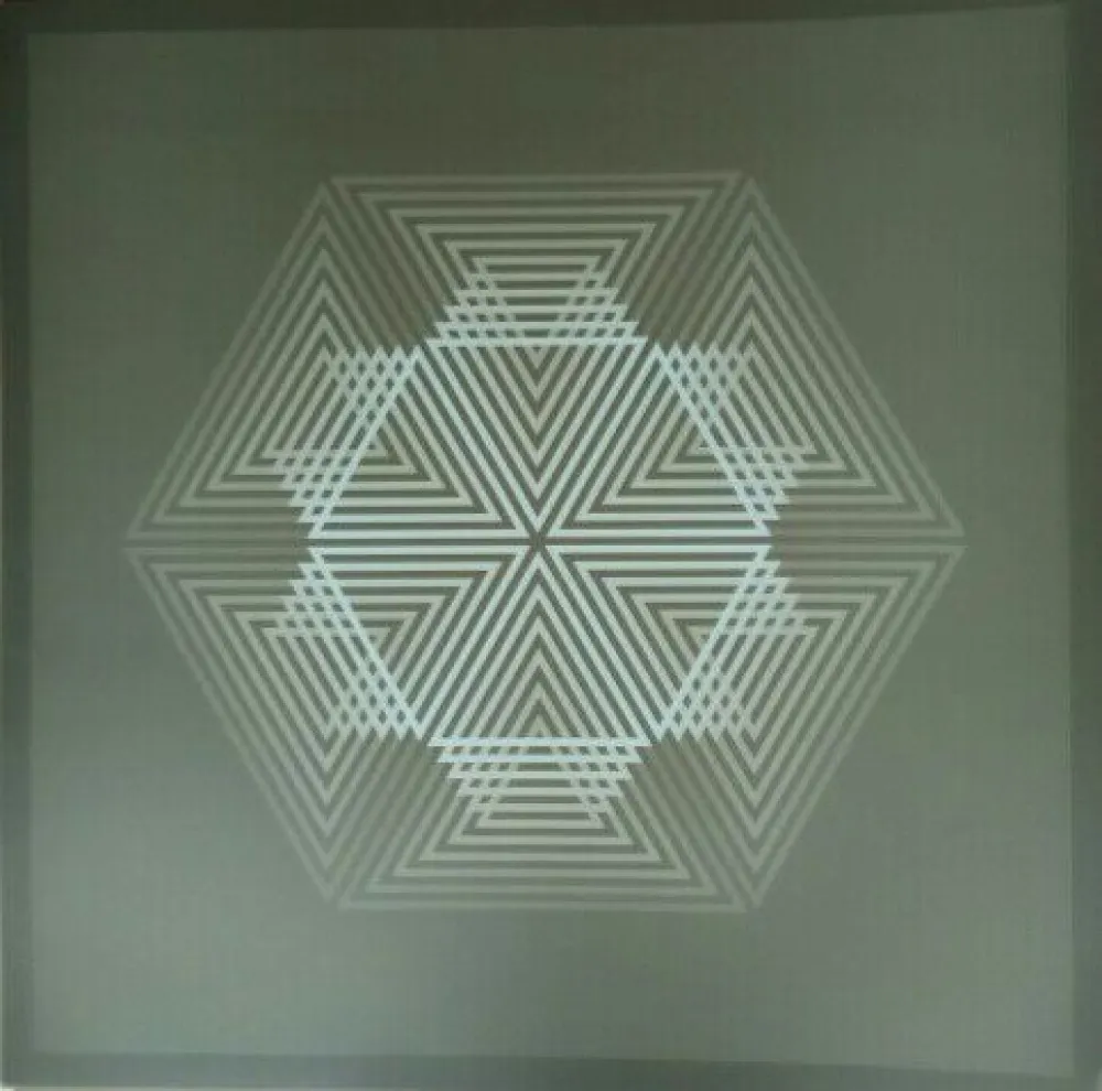 石版画 Bird - Tribute to Vasarely 12