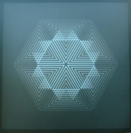 石版画 Bird - Tribute to vasarely 12