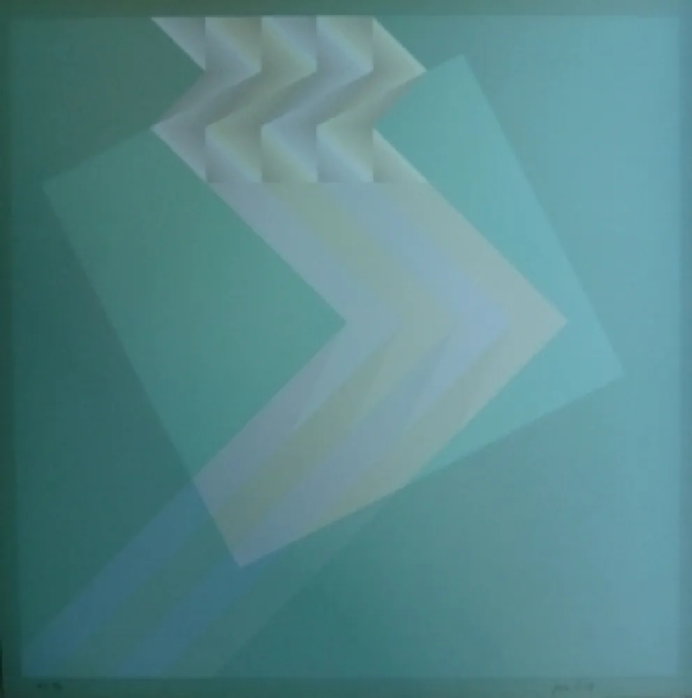 石版画 Bird - Tribute to Vasarely 13