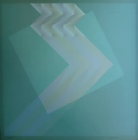 石版画 Bird - Tribute to Vasarely 13