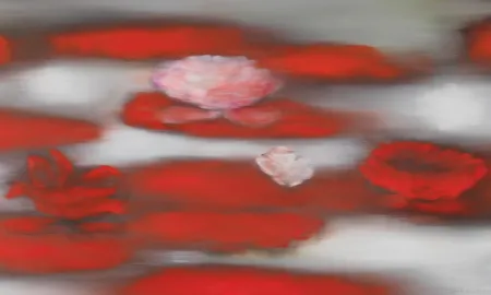 无技术 Bleckner - Floating Red