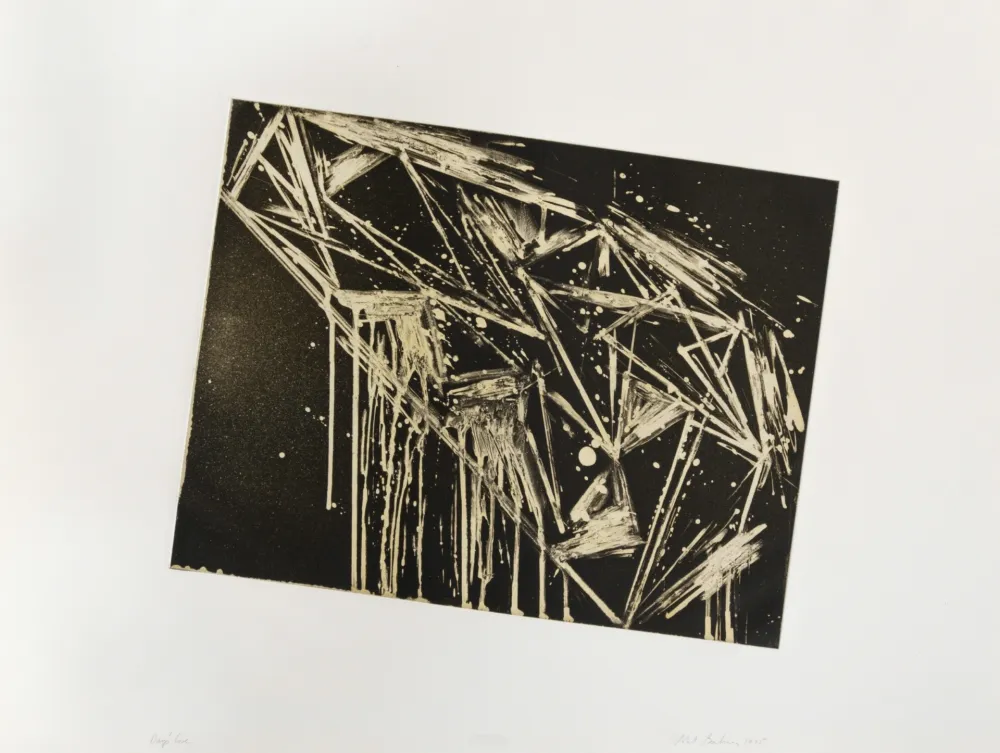 飞尘腐蚀法 Bochner - Day's Cove