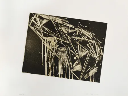 飞尘腐蚀法 Bochner - Day's Cove