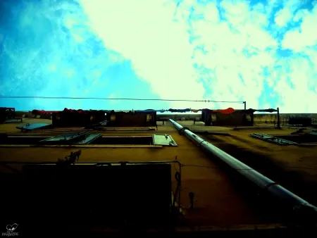 摄影 Bohorquez - Medialuz (Halflight)