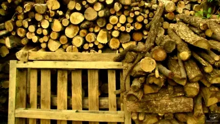 摄影 Bohorquez - Palos de Moguer