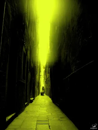 摄影 Bohorquez - Sinfin (Unending)