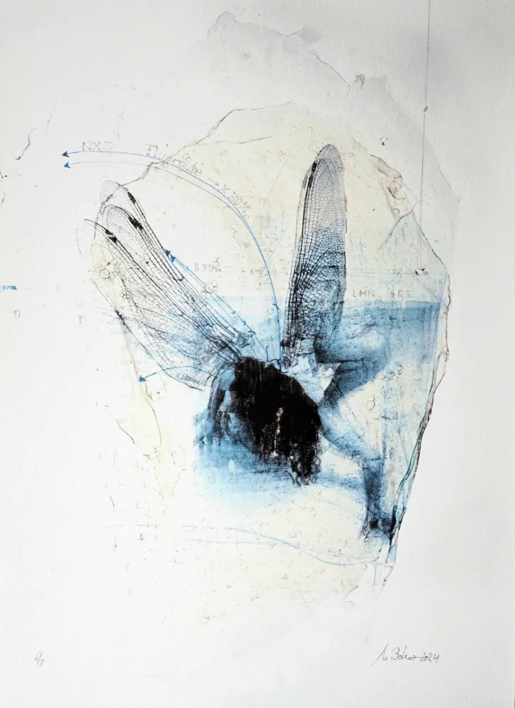 版画 Bolenz - Libellule