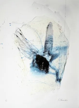 版画 Bolenz - Libellule